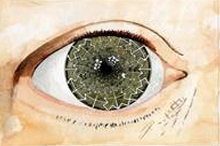 Specialisterne Large